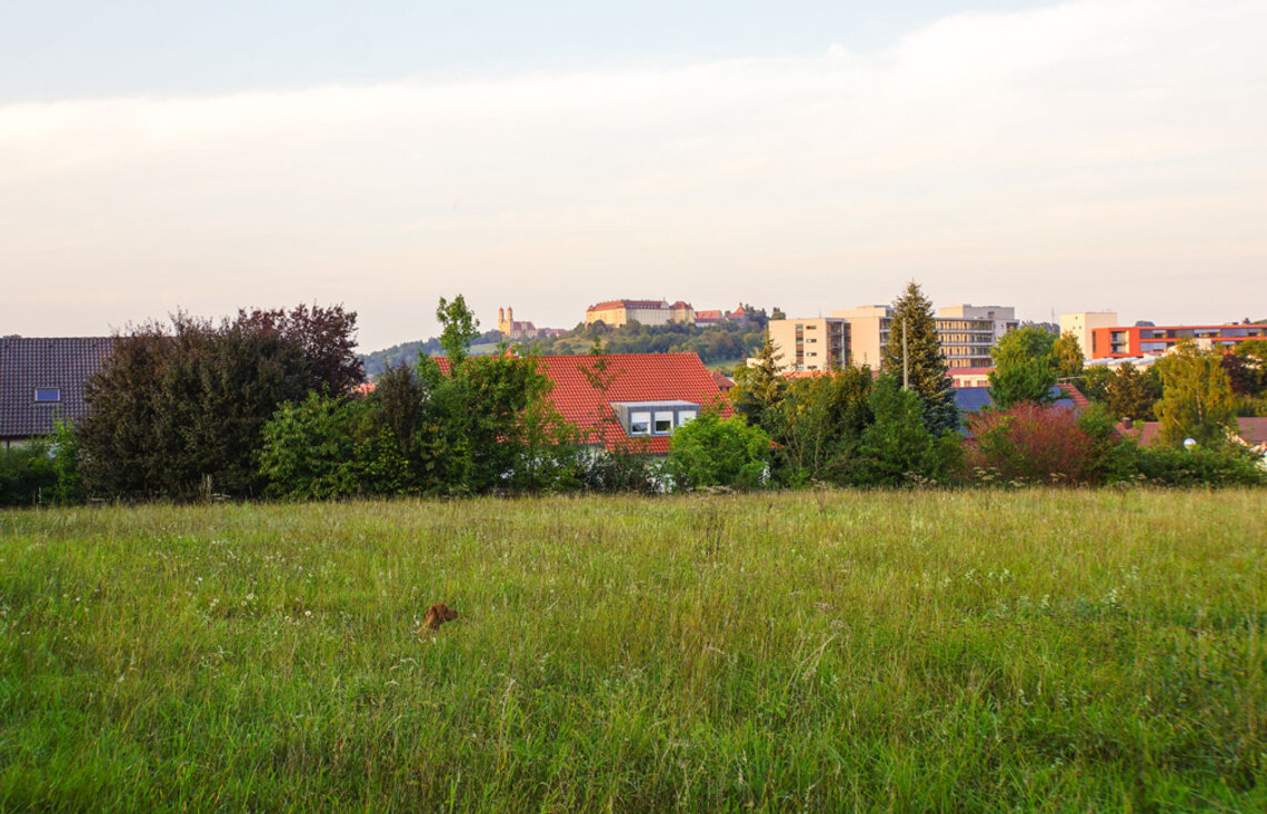 Dieser Ausblick ist zu verkaufen.